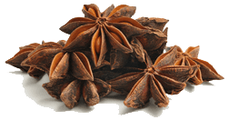 STAR-ANISE