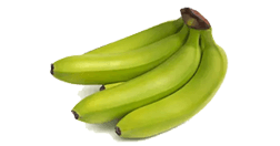 cavendish-banana