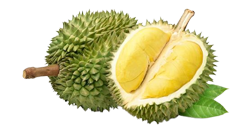 durian-img