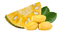 jack-fruit