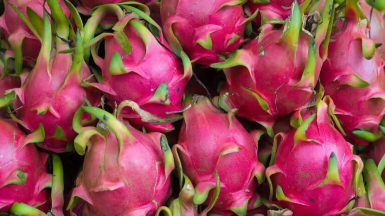 dragon-fruit