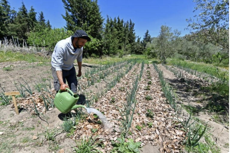 Nông dân Saber Zouani trong trang trại nông nghiệp sinh thái của mình ở Tunisia. Ảnh chụp màn hình